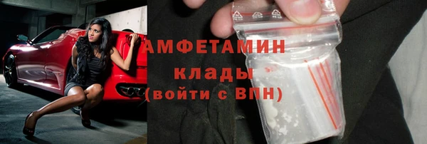 ГАЛЛЮЦИНОГЕННЫЕ ГРИБЫ Заволжье