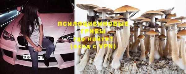 ГАЛЛЮЦИНОГЕННЫЕ ГРИБЫ Заволжье